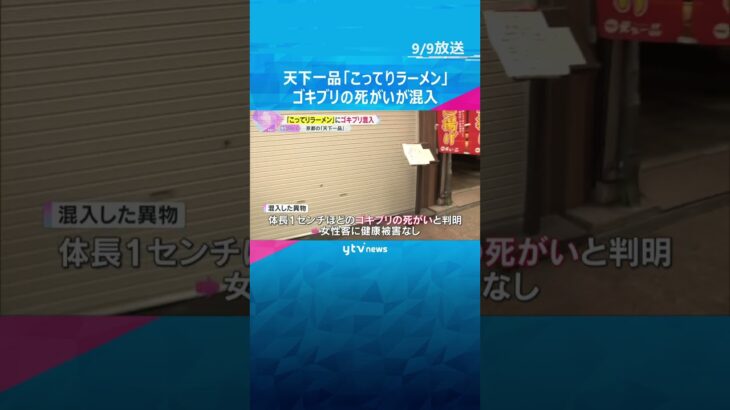 天下一品「こってりラーメン」ゴキブリの死がい混入　京都市内の系列店も営業停止　害虫駆除を実施　#shorts #読売テレビニュース
