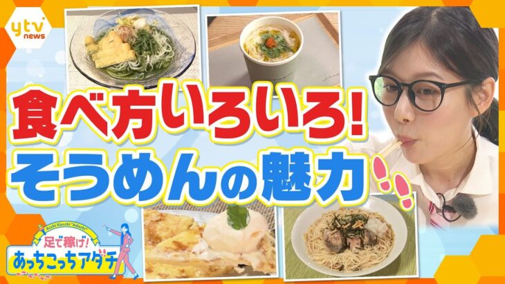 奈良県桜井市で、老舗製麺所が手がける定番のそうめんから、少し変わったそうめんまで、足立アナがそうめんの魅力を調査！【かんさい情報ネット ten.　あっちこっちアダチ】
