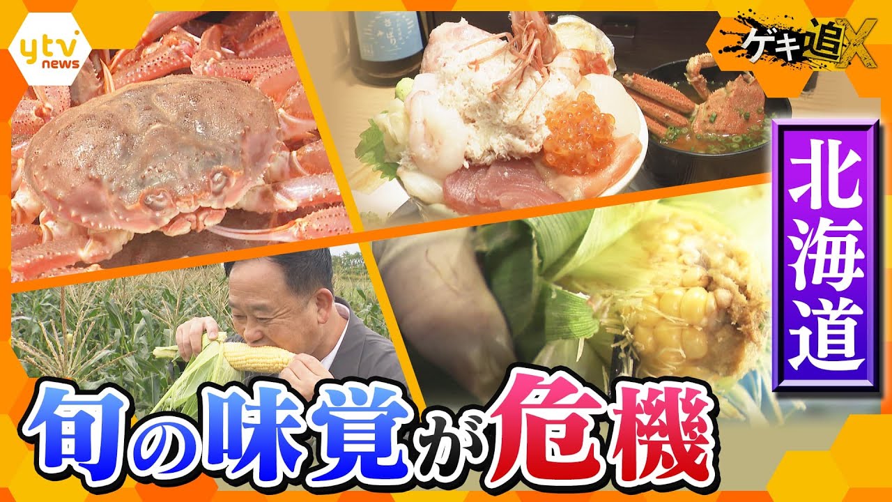 “食の宝庫”北海道に異変　異常な暑さと作り手不足…物産展にも影響が！！【かんさい情報ネットten．ゲキ追X】