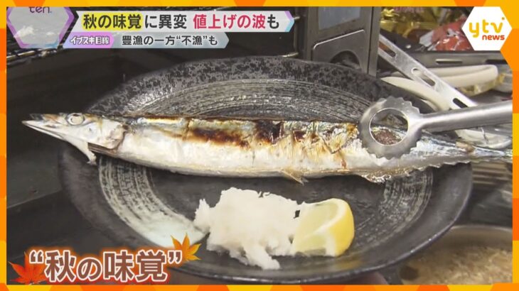 サンマは「奇跡」の豊漁もサケは不漁　ぶどうは甘くて安く、キノコは小さめで値上がり　秋の味覚に明暗