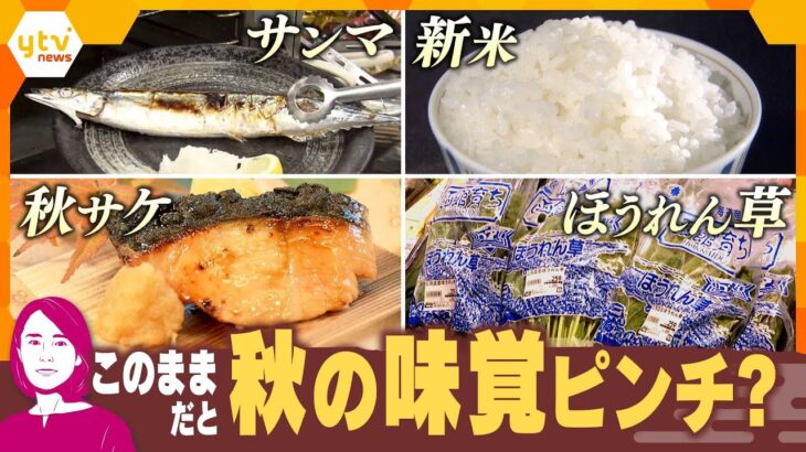 【イブスキ解説】“食欲の秋”なのに…秋の味覚がピンチ!?