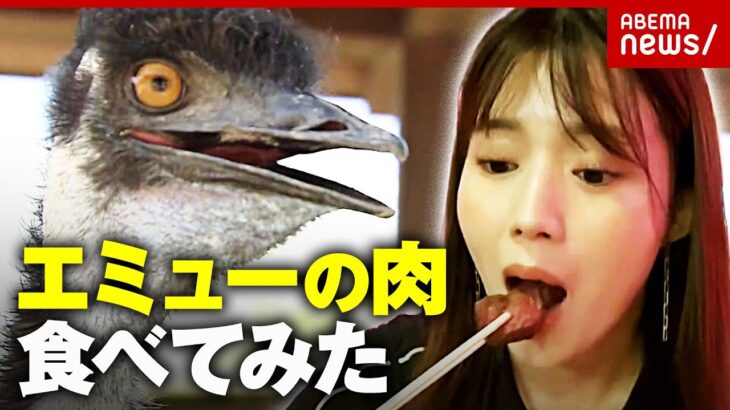 【エミュー逃走で警察出動】「大きな音でショック死」「肉は高タンパク」動物逃走がニュースになる法則｜ABEMA的ニュースショー
