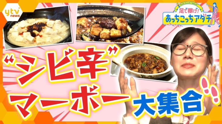 初体験！白いマーボー豆腐や焼肉店の裏メニュー マーボー豆腐、進化系！マーボー豆腐料理まで、痺れる魅力を足立アナが“あっちこっち”訪れて調査します！【かんさい情報ネット ten.あっちこっちアダチ】