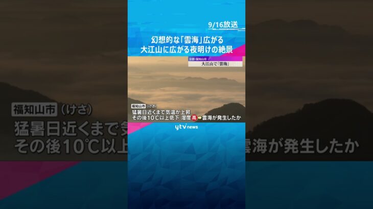 「心が洗われる…」放射冷却が生んだ幻想的な『雲海』　大江山に広がる夜明けの絶景　京都・福知山市 #shorts #読売テレビニュース