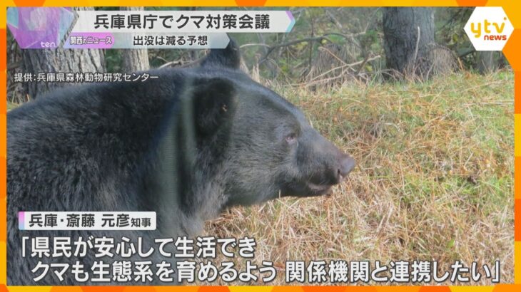 【クマ対策】人里への出没を防ぐため「柿の木伐採」　兵庫県で対策会議、斎藤知事は対策に意欲を示す　