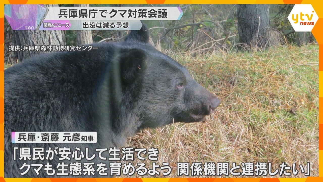 【クマ対策】人里への出没を防ぐため「柿の木伐採」　兵庫県で対策会議、斎藤知事は対策に意欲を示す　