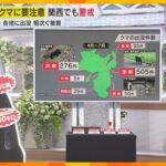 【クマ出没注意！】過去最多ペースの被害　関西でも警戒　遭遇回避の対策は？　クマよけグッズも紹介　