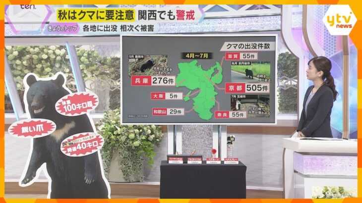 【クマ出没注意！】過去最多ペースの被害　関西でも警戒　遭遇回避の対策は？　クマよけグッズも紹介　