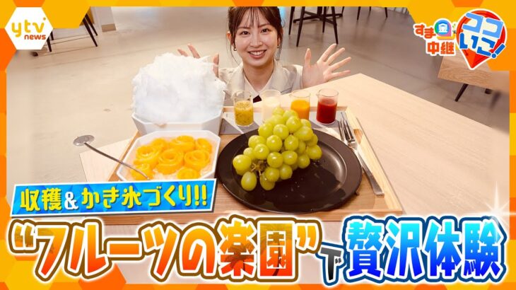 “フルーツの楽園”で贅沢体験！シャインマスカットの収穫＆オリジナルかき氷づくり体験！【す・またん！】