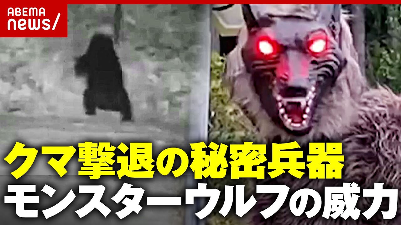 【オオカミの声で撃退】逃げ出す動物映像で検証「クマに一番効果がある」モンスターウルフの実力｜ABEMA的ニュースショー