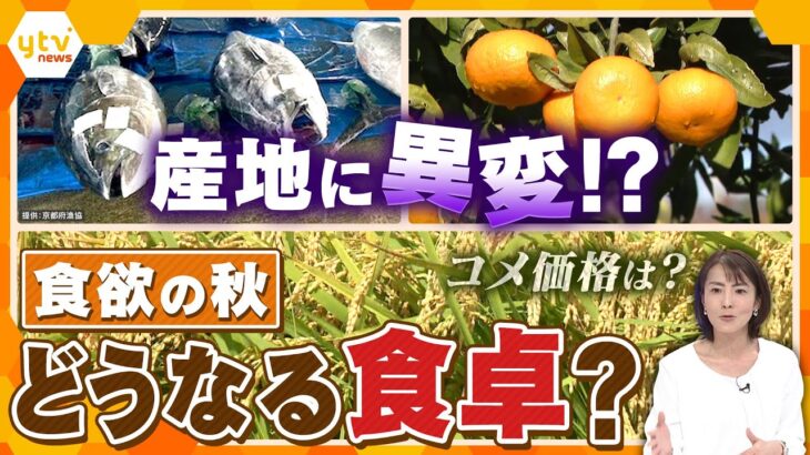 【イブスキ解説】“食欲の秋”到来なのに…産地に異変!?　どうなる食卓？　とれ過ぎたり、とれなくなったり・・・