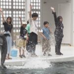 イルカのトレーナー体験人気　城崎の水族館