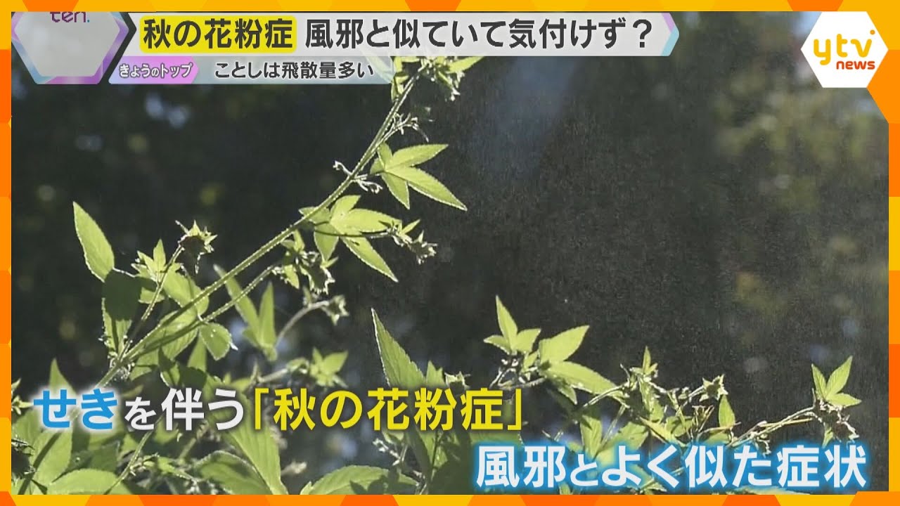 風邪だと思ったら…実は秋の花粉症　咳には要注意　今すぐできる意外な対策が鼻毛と鼻歌ってホント？