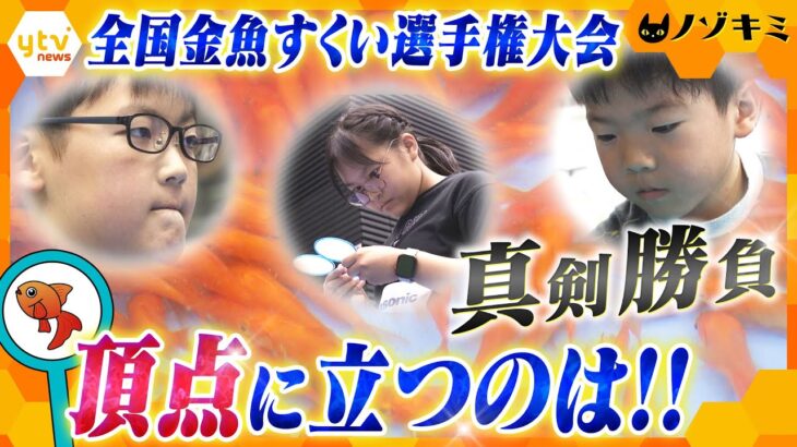 スゴ腕キッズたちの熱い戦い　金魚すくい全国大会　小学生猛者が真剣勝負‼ 【かんさい情報ネット ten.特集/ノゾキミ】