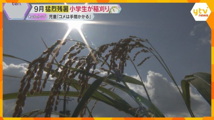 9月なのに…残暑続く　大阪市では猛暑日41日と過去最多タイ　一方で暑い日に欠かせない〇〇が値上げ
