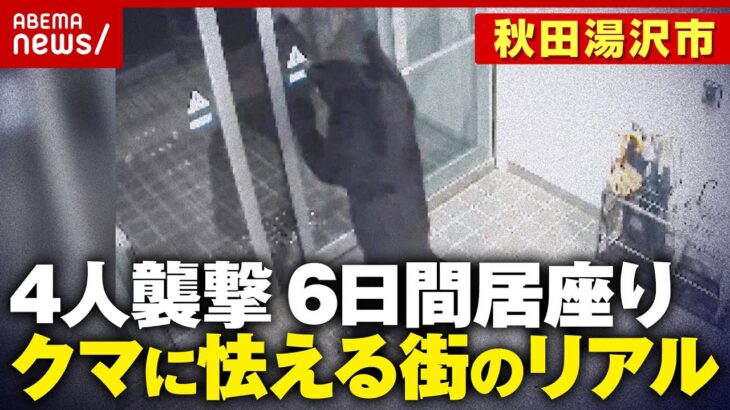 【4人襲撃】クマが民家居座り…なぜ捕獲に6日間も?ハンター「家の中に入ると緊急銃猟 銃があっても安全ではない」|ABEMA的ニュースショー