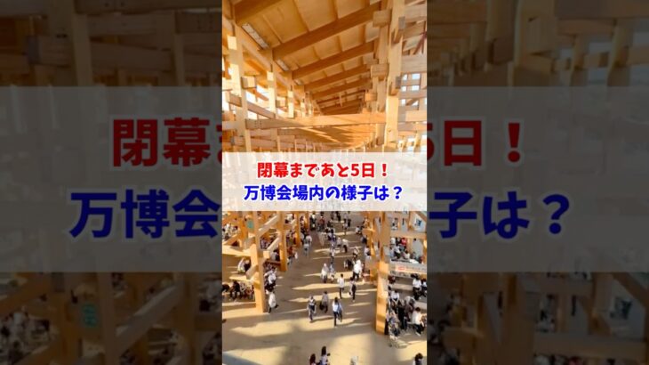 閉幕まであと5日😢大阪・関西万博 #大阪関西万博 #万博 #読売テレビニュース