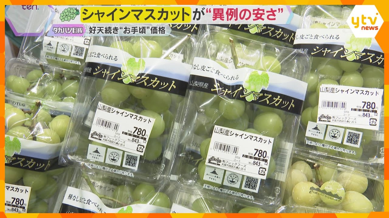シャインマスカットが“異例の安さ”　国は海外生産認める方向で検討…生産地は「ありえない」と猛抗議