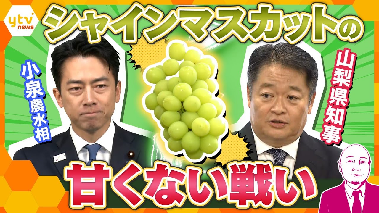 【タカハシ解説】ことしは安くて甘いのに…　小泉進次郎農水省と山梨県知事のシャインマスカットの甘くない戦い　海外流出で経済的損失は年間100億円以上か