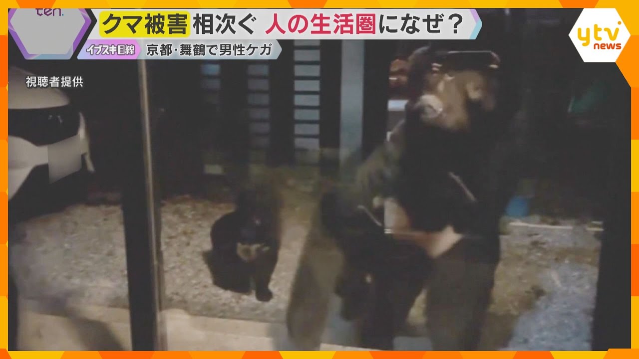 関西の市街地でクマ被害　京都・舞鶴市で男性が体長70センチのツキノワグマに引っかかれ軽傷　警戒続く