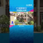 関西の市街地でクマ被害　京都・舞鶴市で男性が体長70センチのツキノワグマに引っかかれ軽傷　警戒続く　#shorts #読売テレビニュース