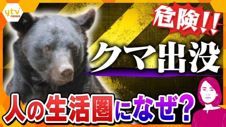 【解説】クマ出没注意！　関西でも急増する“アーバンベア”の脅威　人間を怖がらないクマの実態と身を守る方法とは？