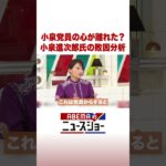 小泉党員の心が離れた？ 小泉進次郎氏の敗因分析 #ABEMA的ニュースショー #Shorts