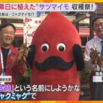【万博】会場でサツマイモ収穫 開幕日に植えた福島・楢葉町の苗が大きく育つ 気になるネーミングは?