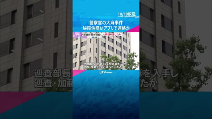 兵庫県警の警察官による大麻所持事件　巡査部長が入手し巡査に譲り渡したか　秘匿性高いアプリで連絡 #shorts #読売テレビニュース