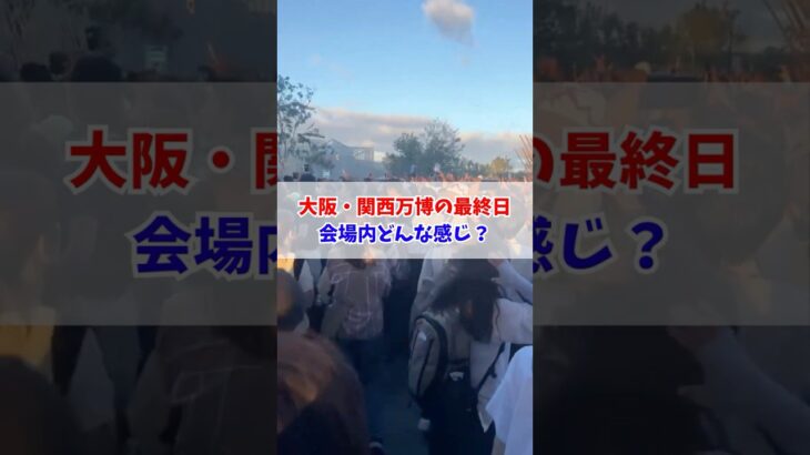 万博最終日！会場内の様子は？#大阪関西万博 #万博 #読売テレビニュース