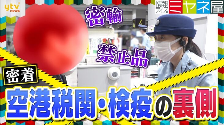 【激撮】客の荷物から違法薬物反応！？空港税関と検疫の取り締まり現場に密着　持ち込み品めぐり職員と大攻防！