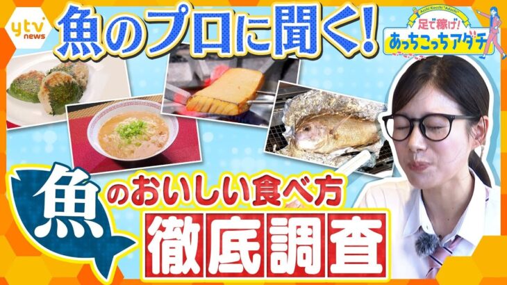 “魚のプロ”に聞く！　刺身や焼くだけじゃない魚のおいしい食べ方　絶品レシピを徹底調査【かんさい情報ネット ten.あっちこっちアダチ】