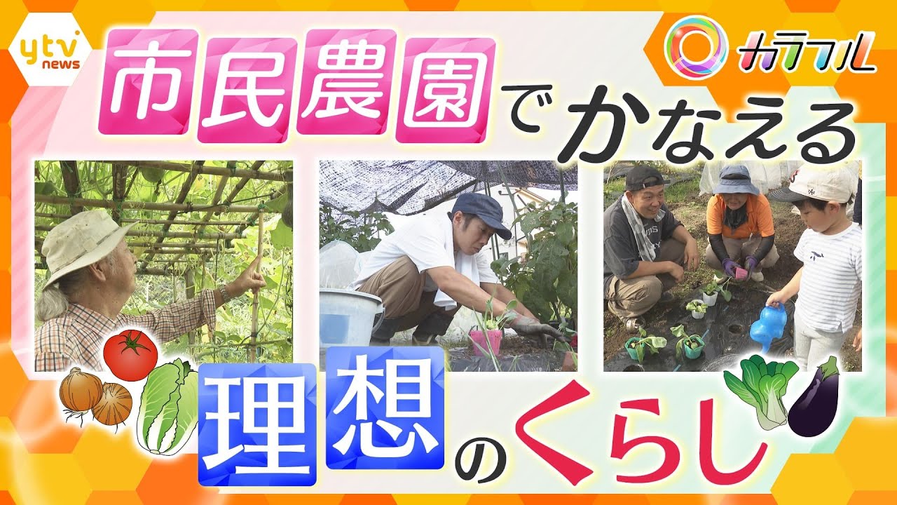 “野菜づくり”が人生を彩る　市民農園でかなえる理想の暮らしのカタチ　【かんさい情報ネット ten.特集/カラフル】