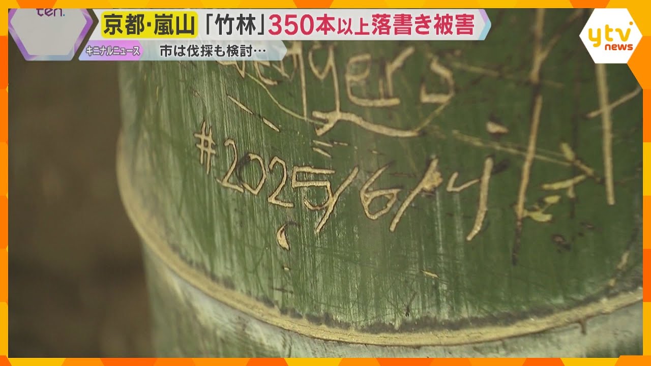 『思い出は心に刻んで』京都・嵐山の名所『竹林の小径」で落書き被害増加　安全面から伐採検討も　