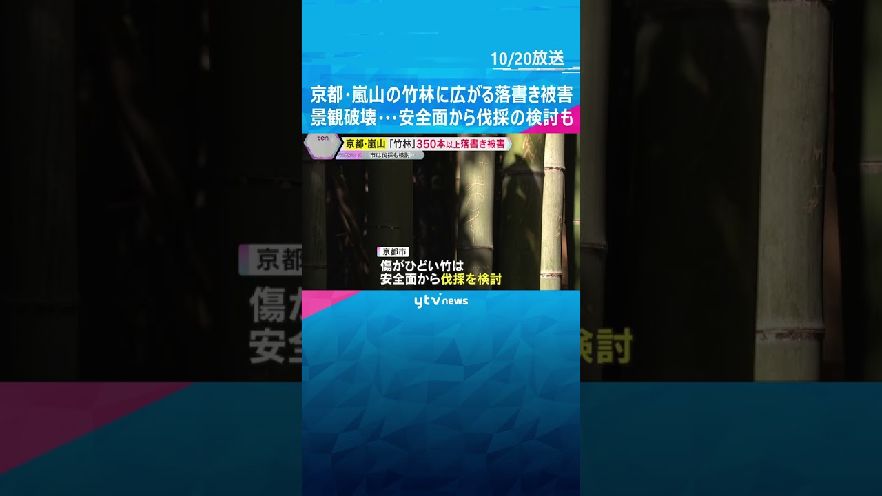 『思い出は心に刻んで』京都・嵐山の名所『竹林の小径』で落書き被害増加　安全面から伐採検討も #shorts #読売テレビニュース