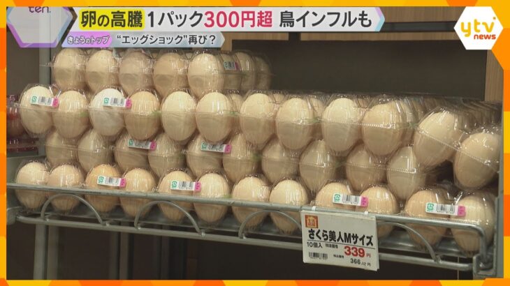 卵が高級食材に⁉価格高騰で「エッグショック」の懸念広がる 北海道では今年初の鳥インフル確認