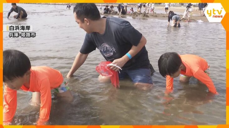 「暑すぎずちょうどいい」秋の潮干狩りに大勢の家族連れ 近年の海水温の上昇で秋でも楽しめるように