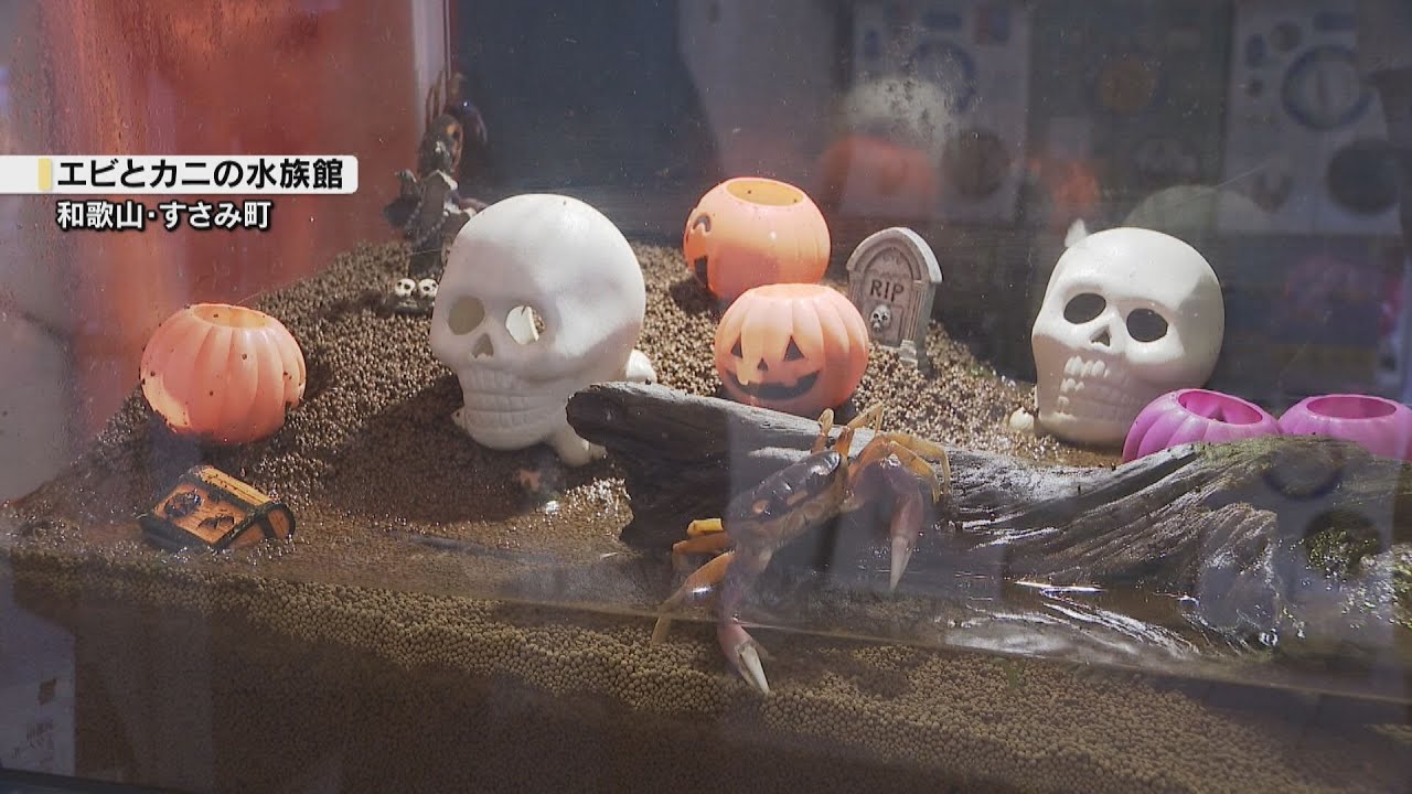 ハロウィーンムードの水槽　すさみの水族館