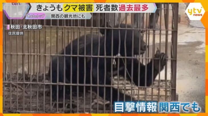 【警戒】京都・嵐山でクマの目撃相次ぐ 観光客からも不安の声 全国での被害は過去最多…10人が死亡