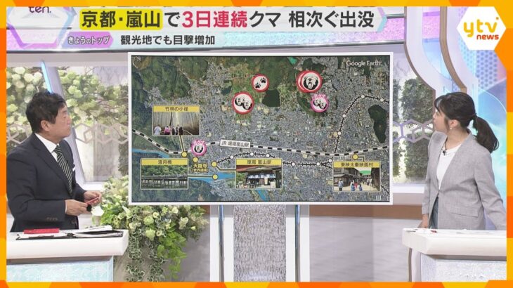 【警戒】京都・嵐山でクマ目撃相次ぐ 紅葉観光に注意 『捕獲しても放せない』クマ対策の現実