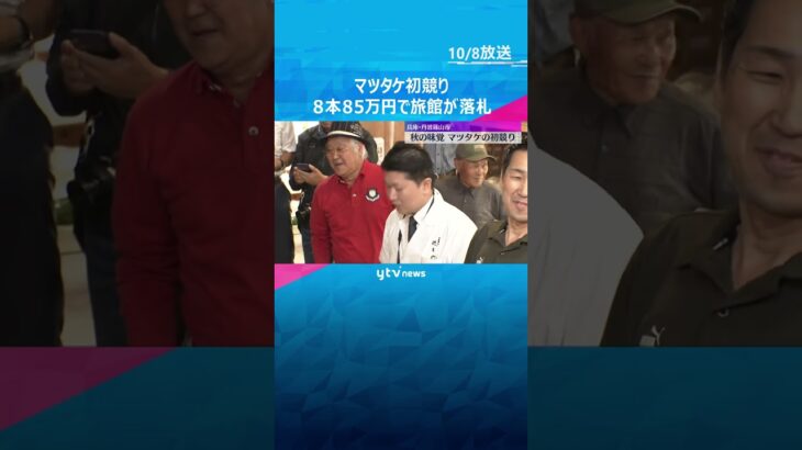 「香りと甘さを楽しんで」マツタケの初競り8本85万円で落札　猛暑の影響懸念も例年より豊作の見込み　#shorts　#読売テレビニュース