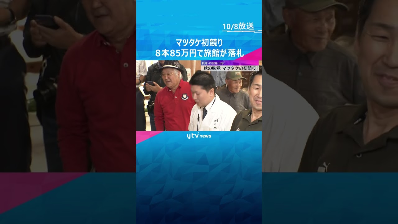 「香りと甘さを楽しんで」マツタケの初競り8本85万円で落札　猛暑の影響懸念も例年より豊作の見込み　#shorts　#読売テレビニュース