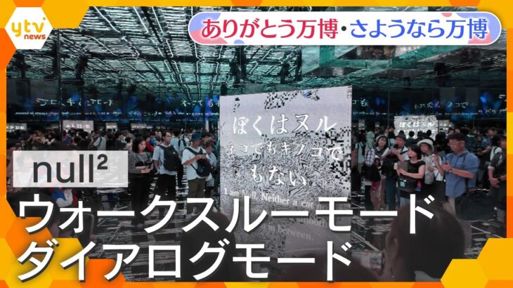 【万博ライブラリー】null²  ウォークスルーモード・ダイアログモード【ありがとう万博・さようなら万博】