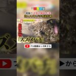 決死の駆除作業！スズメバチVSハンター#スズメバチ #スズメバチ駆除 #読売テレビニュース