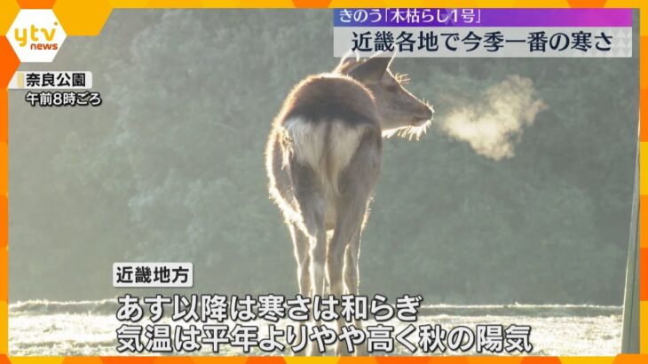 大阪や神戸で今シーズン初の10℃以下　近畿各地で冷え込み強まる　和歌山・高野山では0.5℃を観測