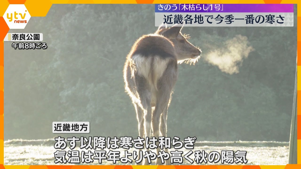 大阪や神戸で今シーズン初の10℃以下　近畿各地で冷え込み強まる　和歌山・高野山では0.5℃を観測