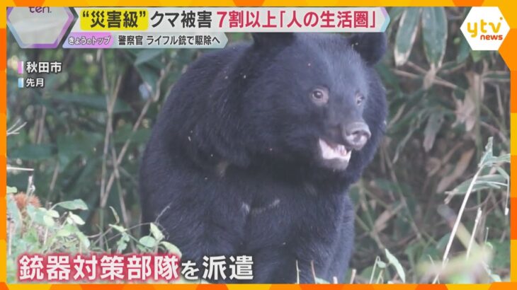被害「災害級」過去最悪…13人が犠牲に　カメラが捉えた！知られざるクマの実態　　　　　　　　　　