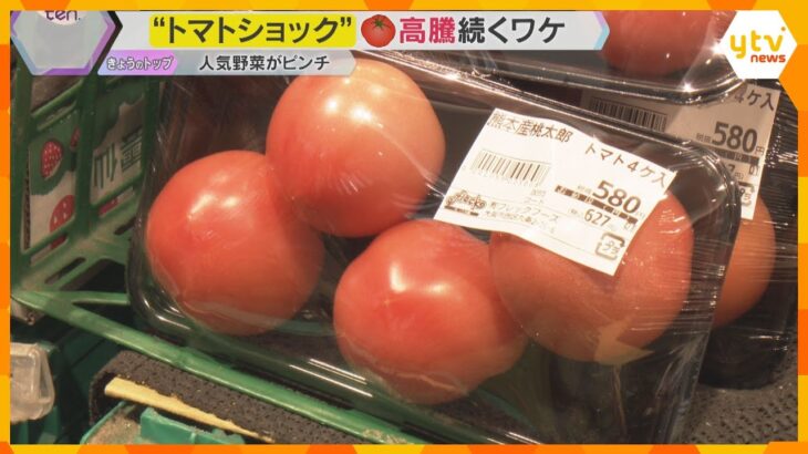 トマトの値段が爆上がり！平年の2.4倍の高値に飲食店も悲鳴　豪雨の影響で熊本産トマトが品薄に