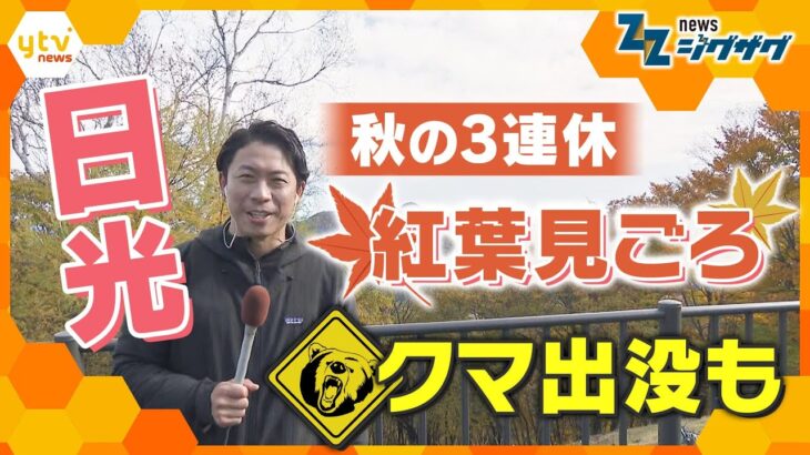 【紅葉 見ごろ】秋の3連休 クマ出没で登山道閉鎖も…栃木県・日光から中継 【ニュース ジグザグ】