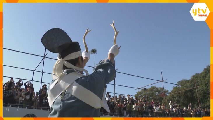 「鹿の角きり」古都・奈良の秋を彩る350年以上続く伝統行事　奈良公園の鹿苑で行われ歓声に包まれる